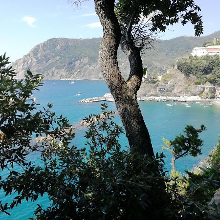 Nel Cuore Di Monterosso Cinque Terre Orto Di Ciack Monterosso al Mare Eksteriør bilde