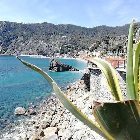 Nel Cuore Di Monterosso Cinque Terre Orto Di Ciack Monterosso al Mare Eksteriør bilde