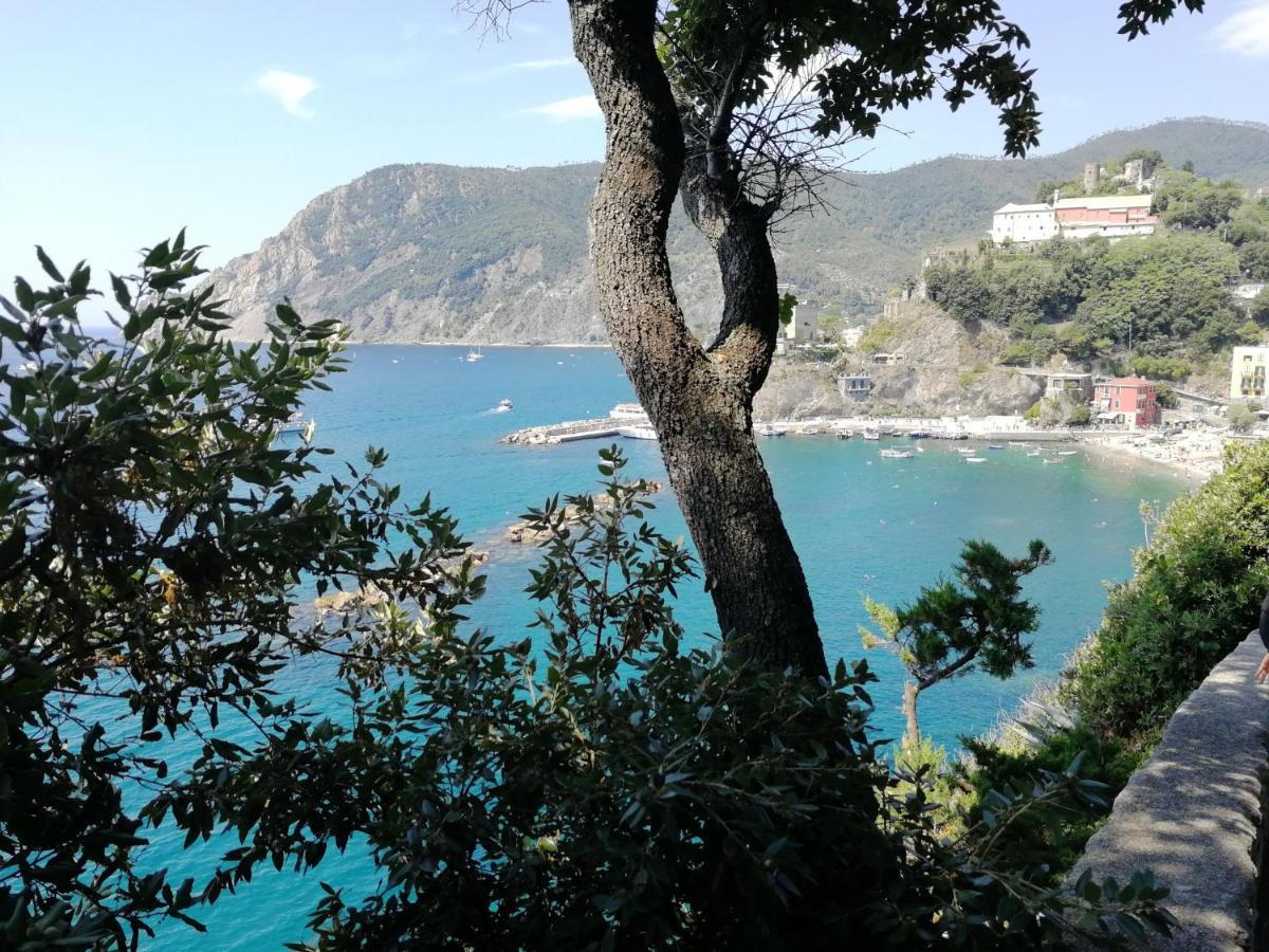 Nel Cuore Di Monterosso Cinque Terre Orto Di Ciack Monterosso al Mare Eksteriør bilde