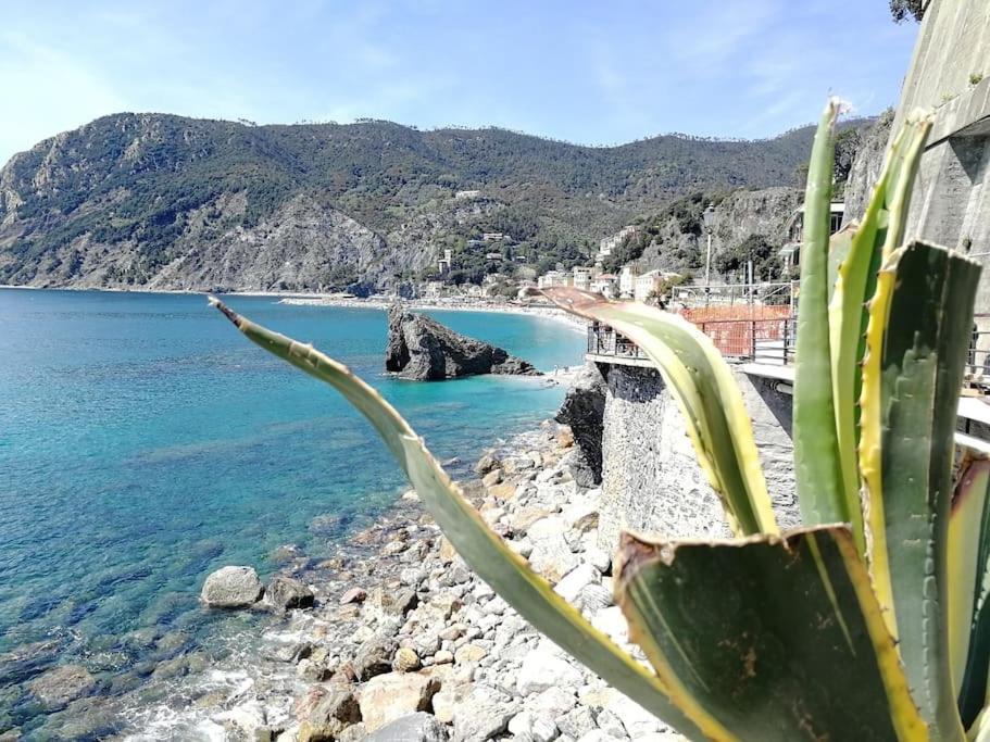 Nel Cuore Di Monterosso Cinque Terre Orto Di Ciack Monterosso al Mare Eksteriør bilde